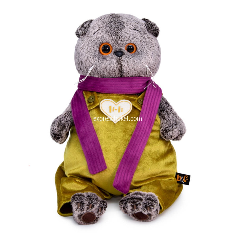 Басик в бархатном комбинезоне