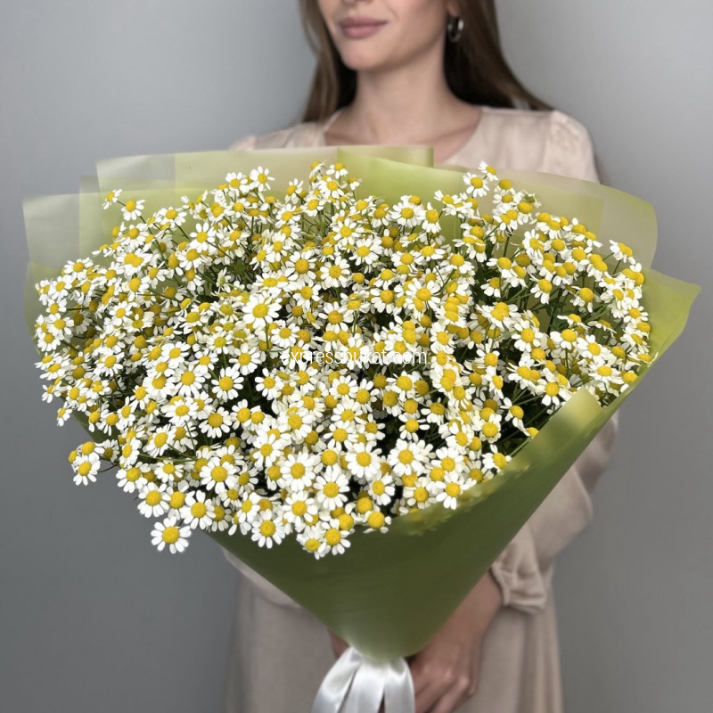 Лесное чудо