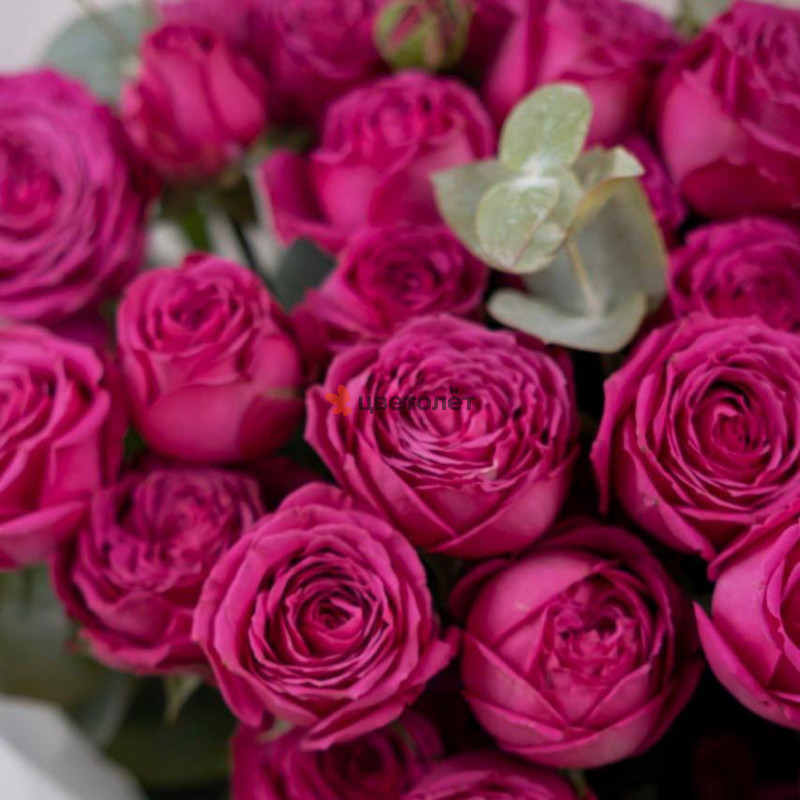 Букет из кустовой пионовидной розы 