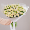 Песочный туман 25 роз