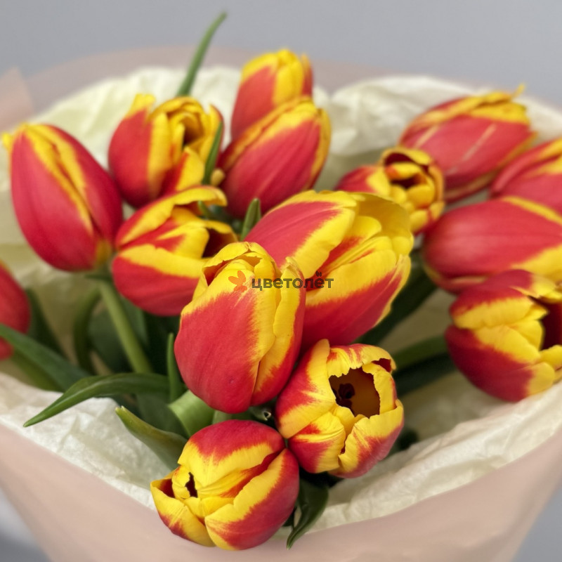 Яркие тюльпаны