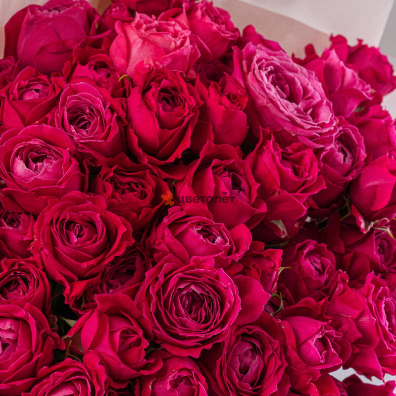 Букет из 15 пионовидных роз Мисс Баблз 