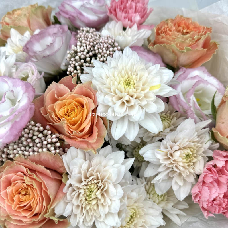 Свои чувства 